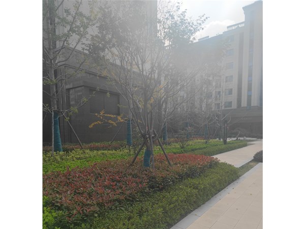西荷花塘剩余地块和2018-4-1号地块房地产开发项目