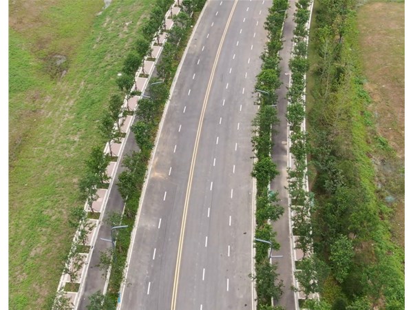 江心洲南环路（31号路南延）工程